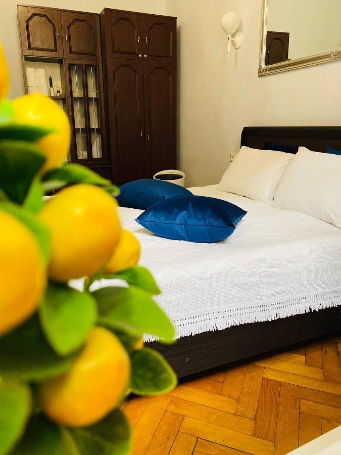 Centr Opera House 2 Rooms Lviv Dış mekan fotoğraf